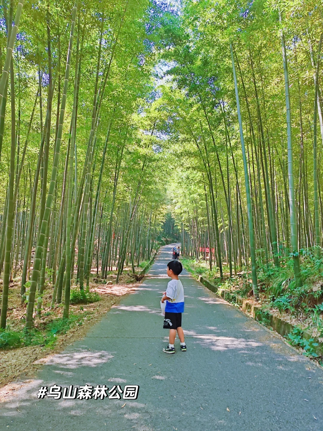 长沙17条徒步路线分享‼️建议收藏