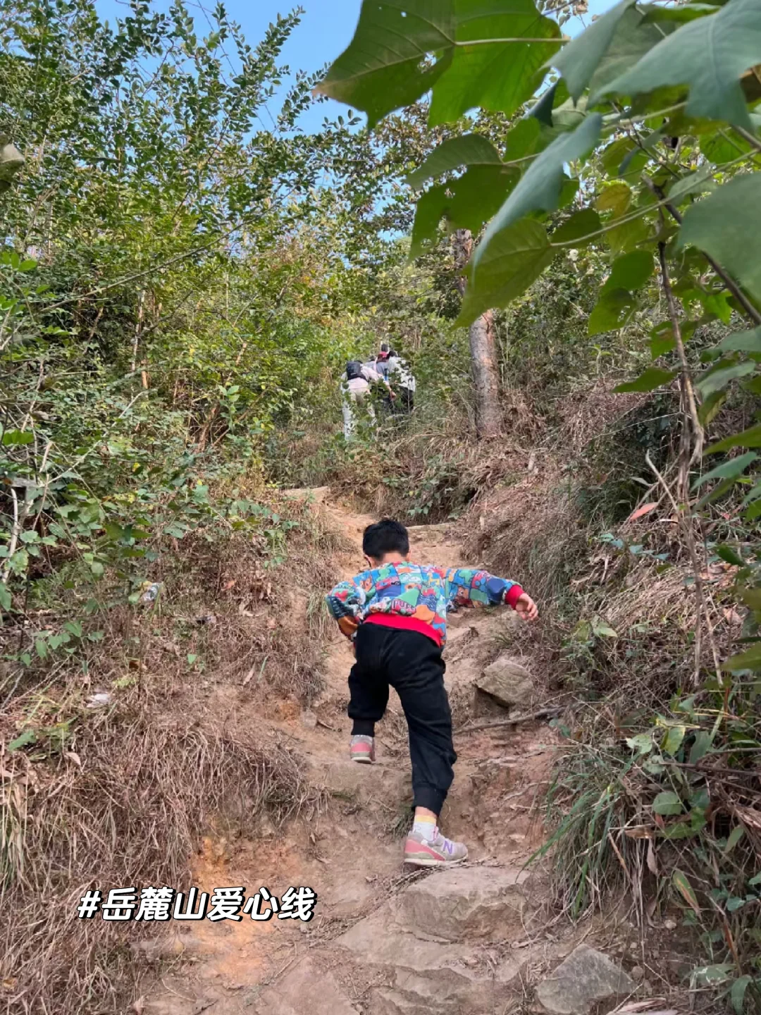 长沙17条徒步路线分享‼️建议收藏