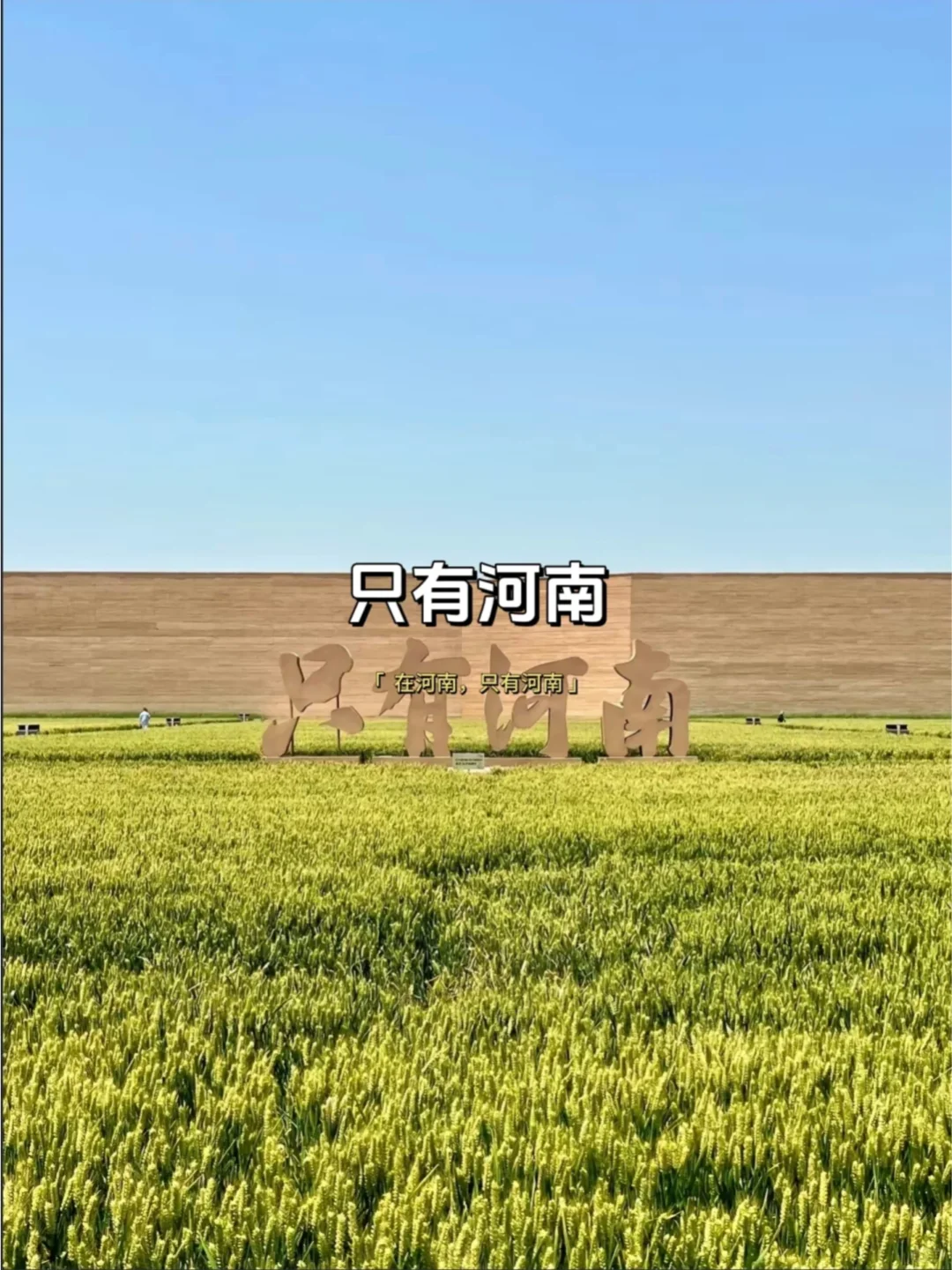 河南必游瑰宝,中原古韵之旅!