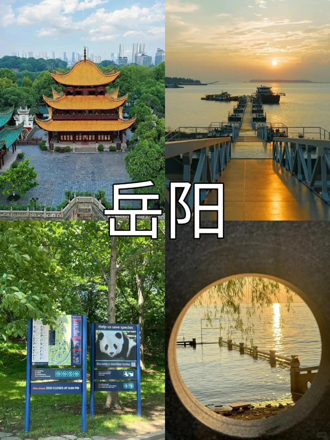 湖南9座城市🏙️旅行景点 姐妹们快码住