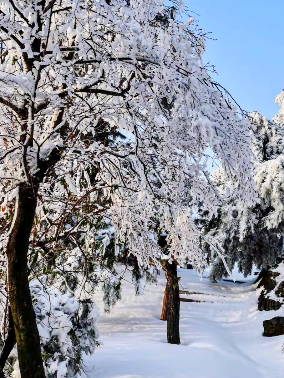 广深高铁2h直达!省时省钱的电梯雪山:郴州