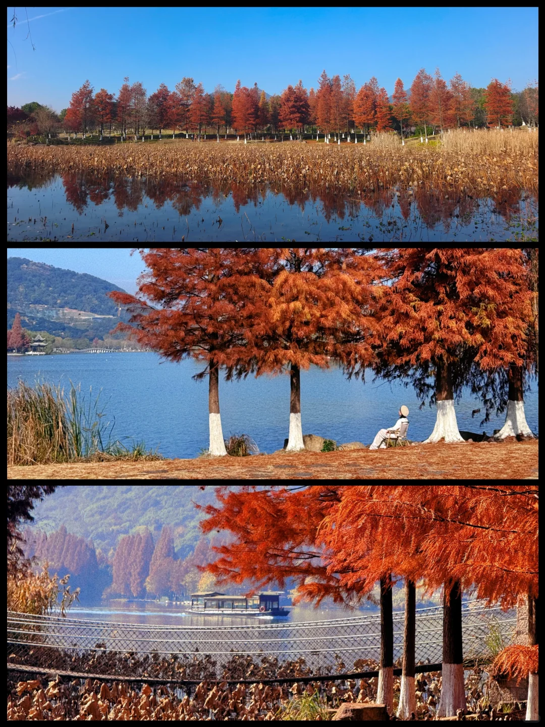 本以为西湖够美了,直到我去了杭州湘湖‼️