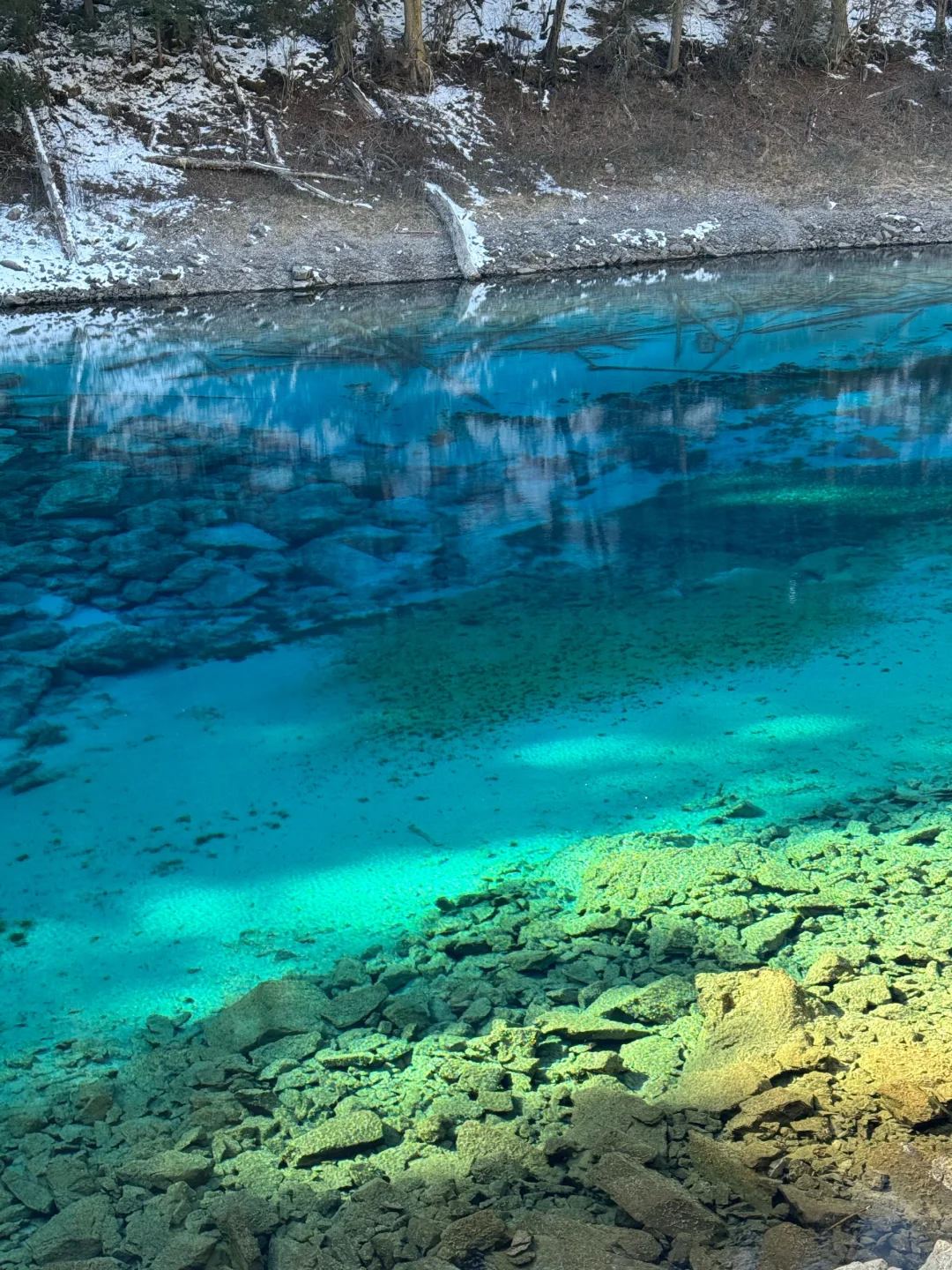 12.5📍九寨沟下雪❄已踩坑 但劝不了一点...