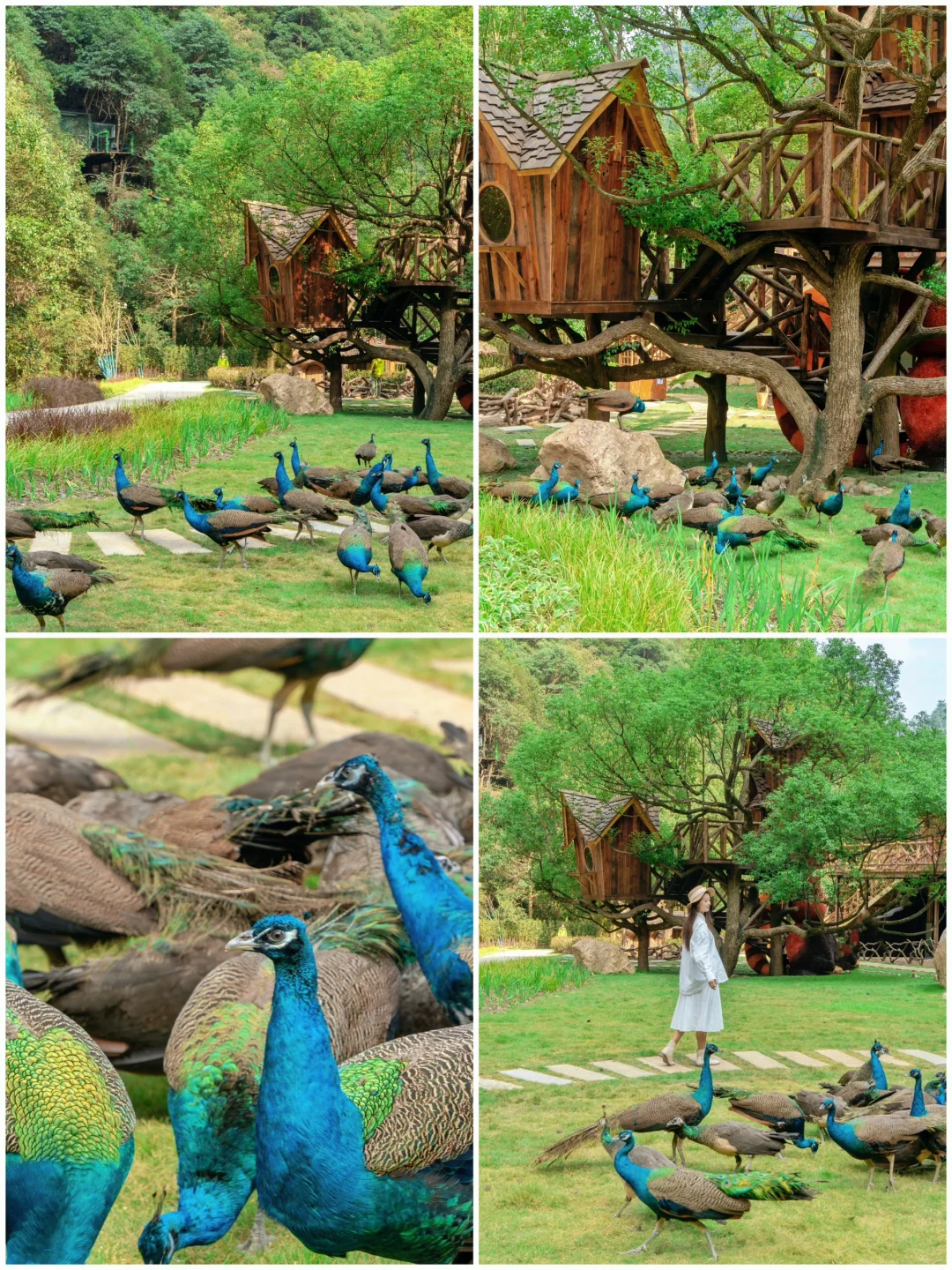 不是九寨沟!这是杭州!!只有0.1%人去过🍃