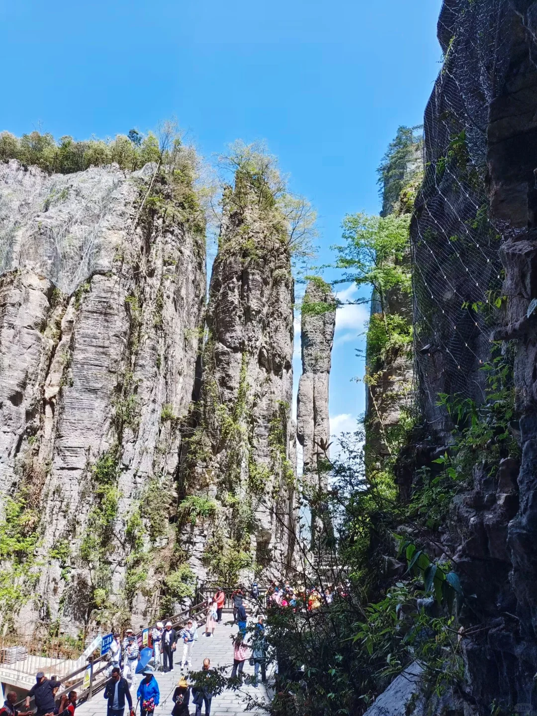 恩施大峡谷｜北纬30°地球最美的伤痕🌍