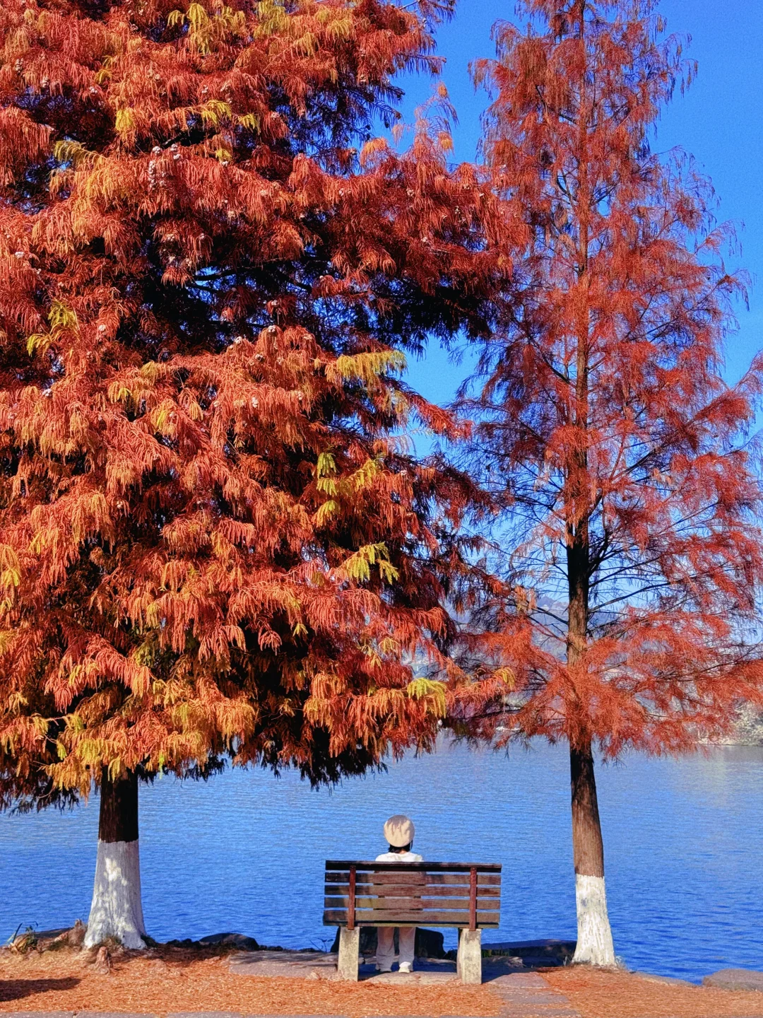 本以为西湖够美了,直到我去了杭州湘湖‼️