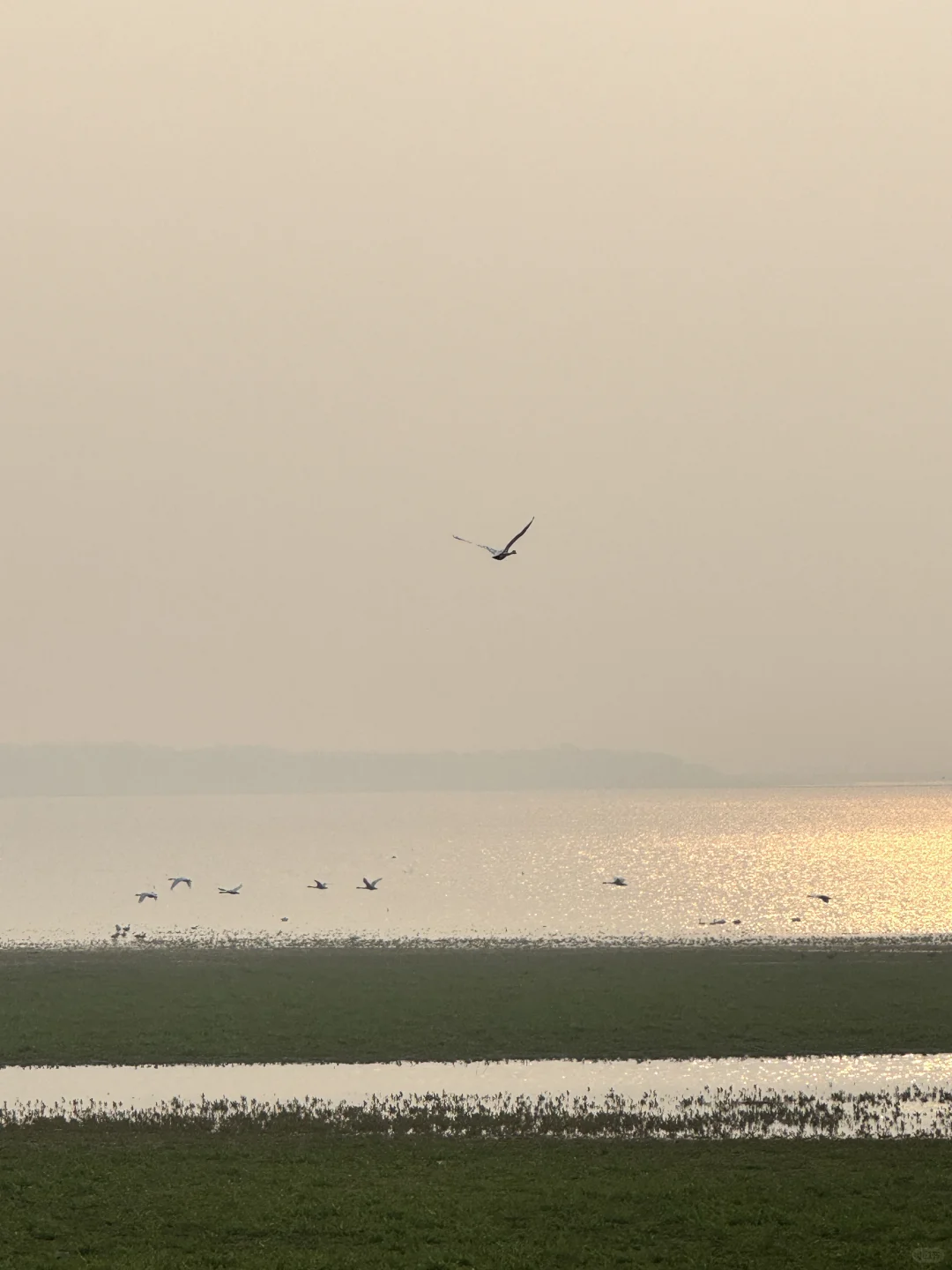 咸宁超美的小众宝藏景点，我看谁还没去过