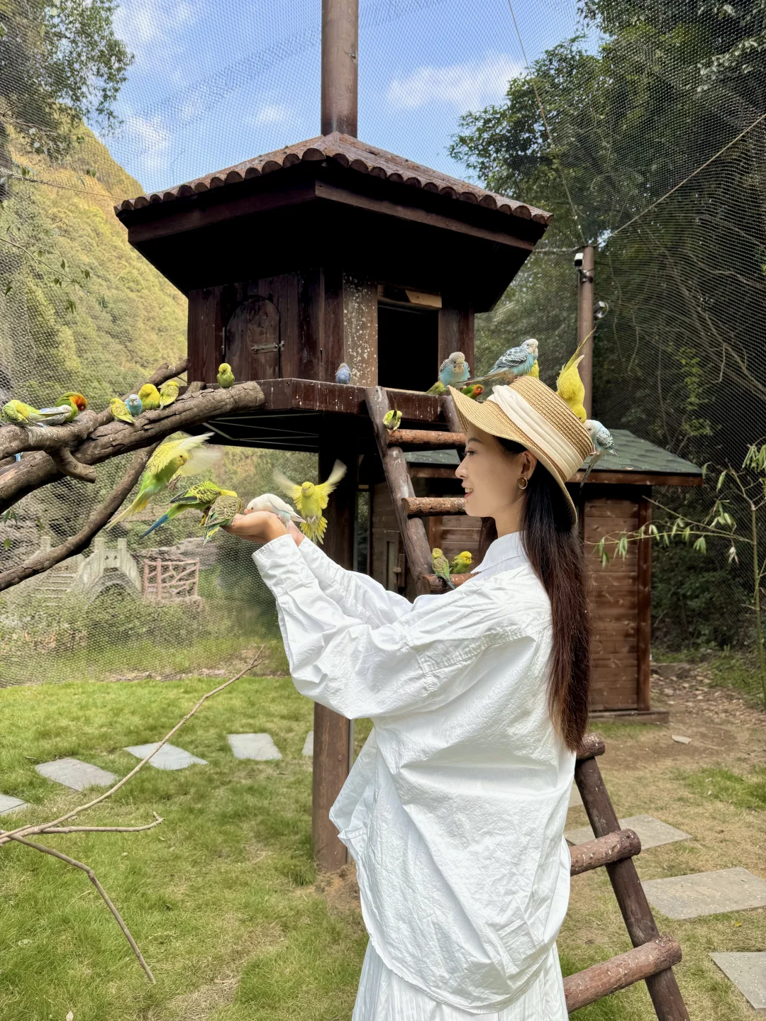 不是九寨沟!这是杭州!!只有0.1%人去过🍃