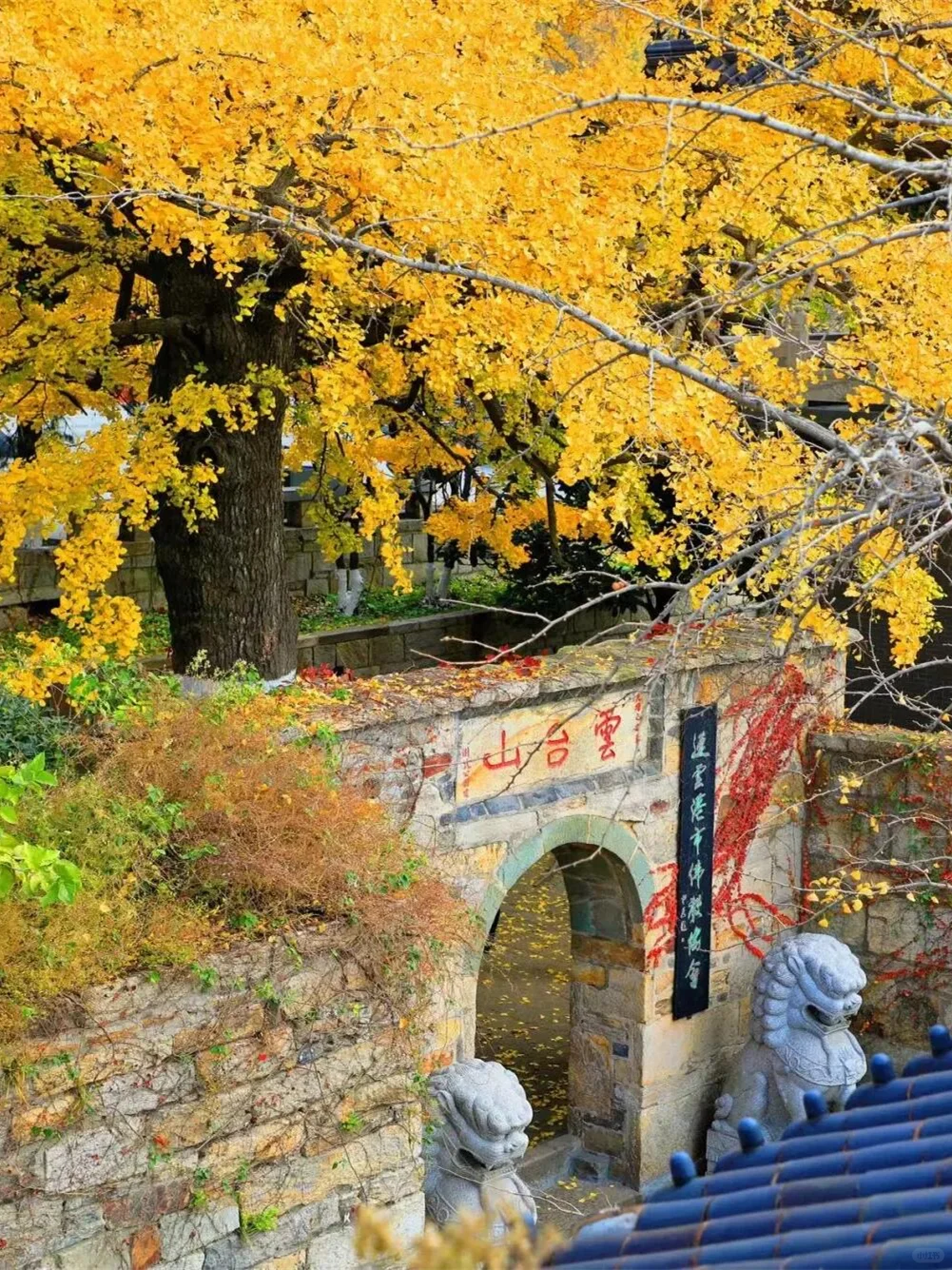 连云港花果山游玩攻略~