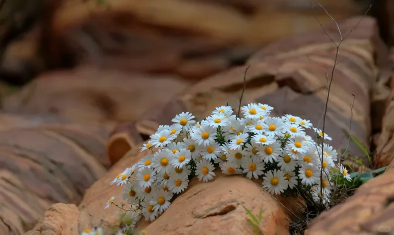 东太行景区攻略