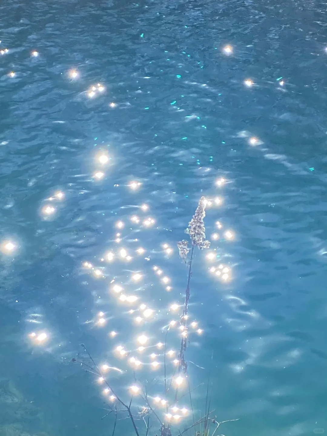 12.5📍九寨沟下雪❄已踩坑 但劝不了一点...