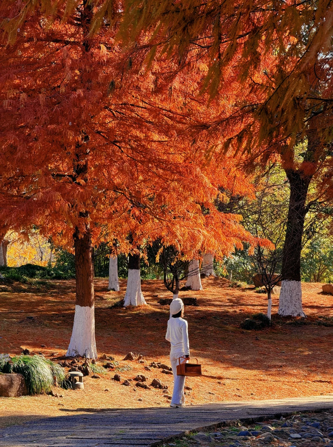 本以为西湖够美了,直到我去了杭州湘湖‼️