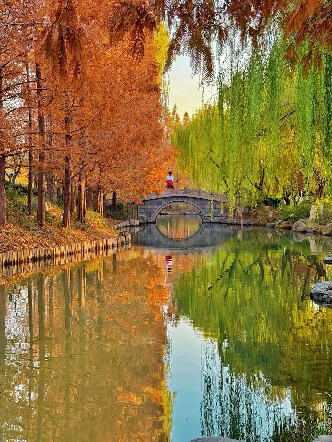 起猛了❗️在大明湖拍到了四象限……附位置