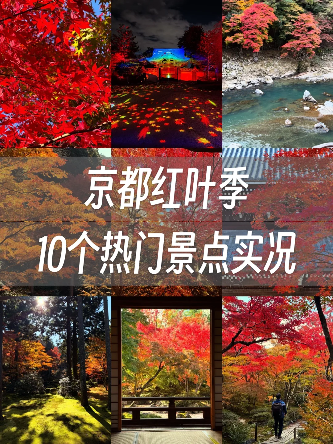 京都🍁10个热门红叶景点！实拍测评来了！