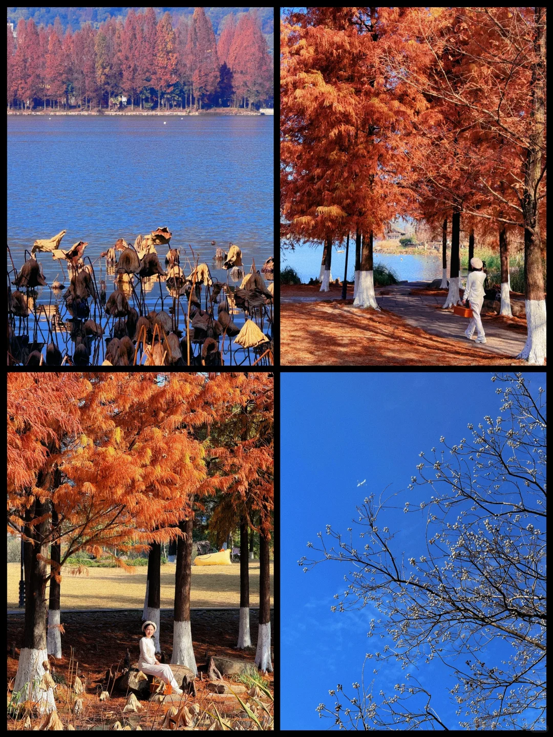 本以为西湖够美了,直到我去了杭州湘湖‼️