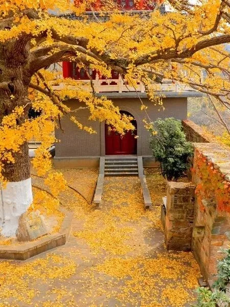 连云港花果山游玩攻略~