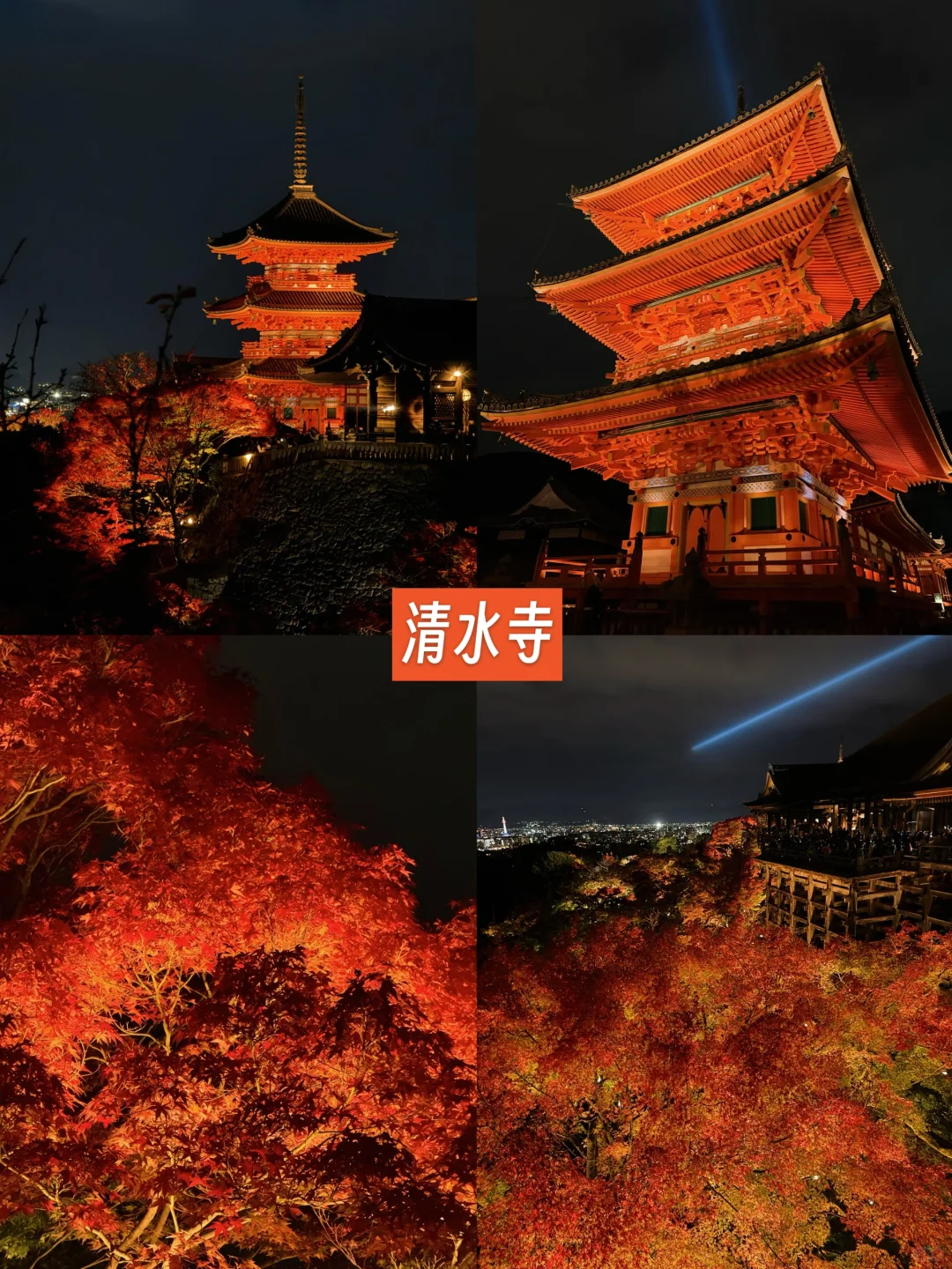 京都🍁10个热门红叶景点！实拍测评来了！