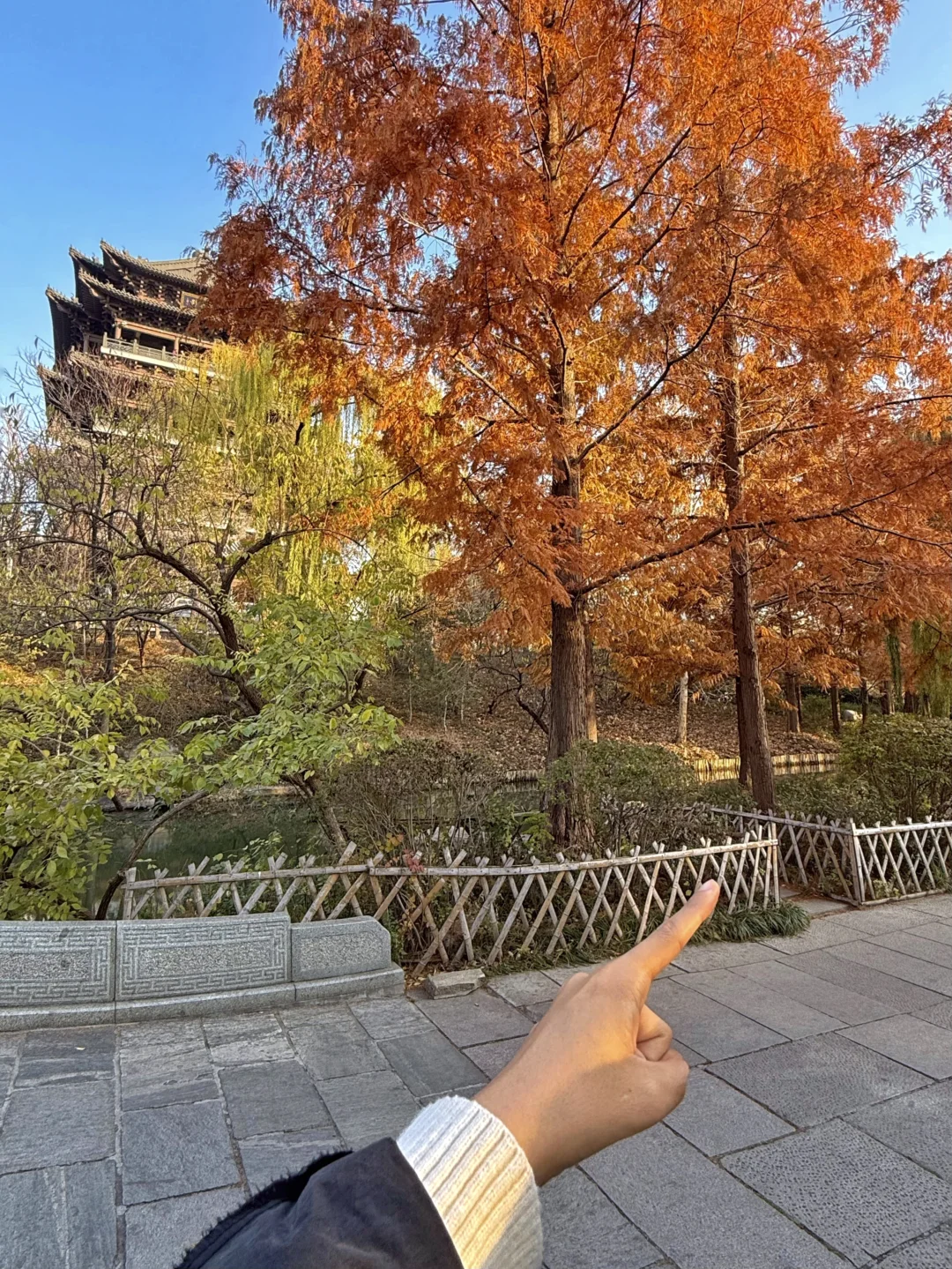 起猛了❗️在大明湖拍到了四象限……附位置