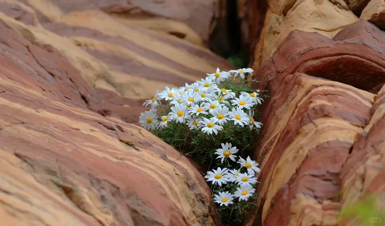 东太行景区攻略