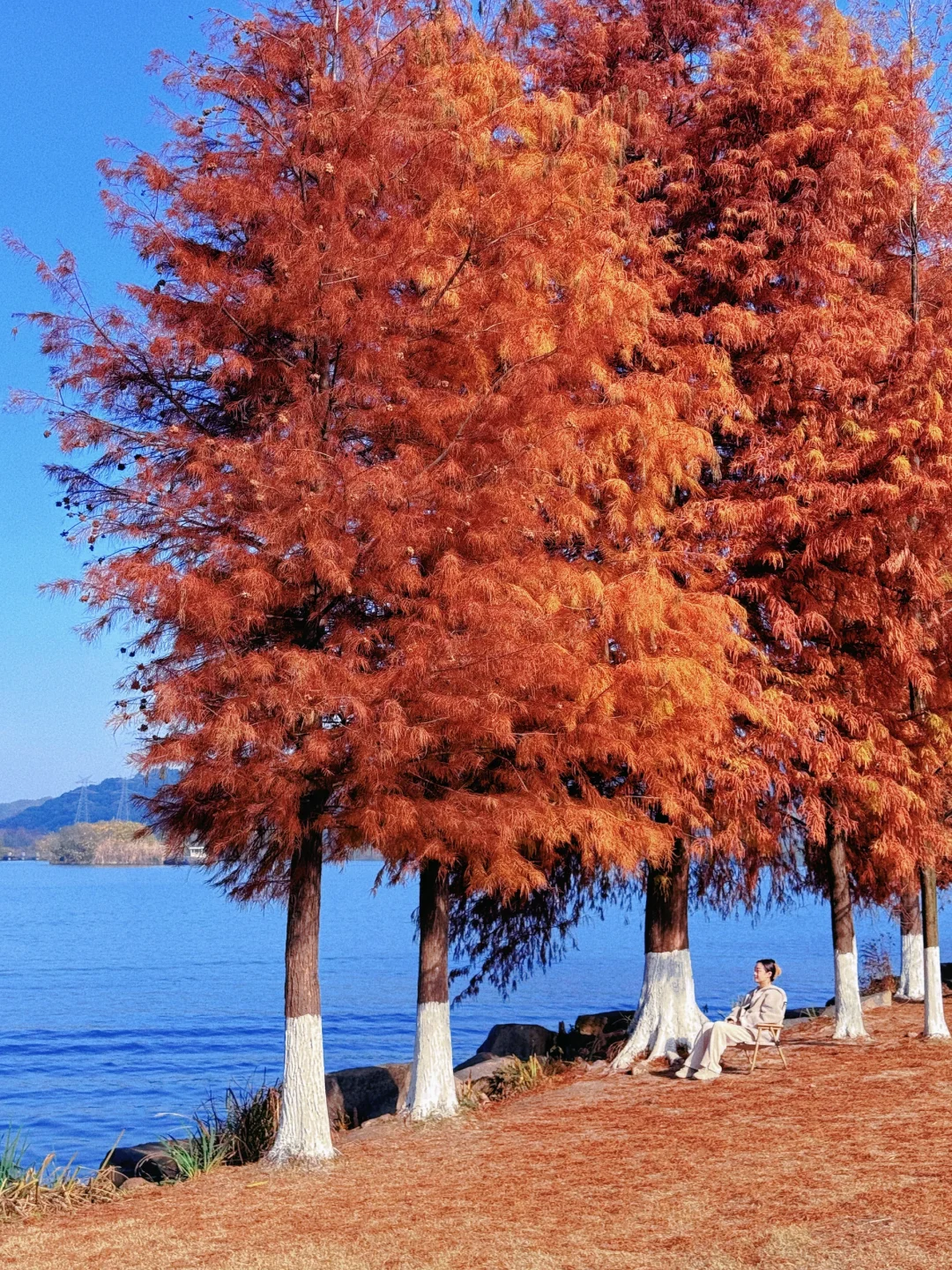 本以为西湖够美了,直到我去了杭州湘湖‼️