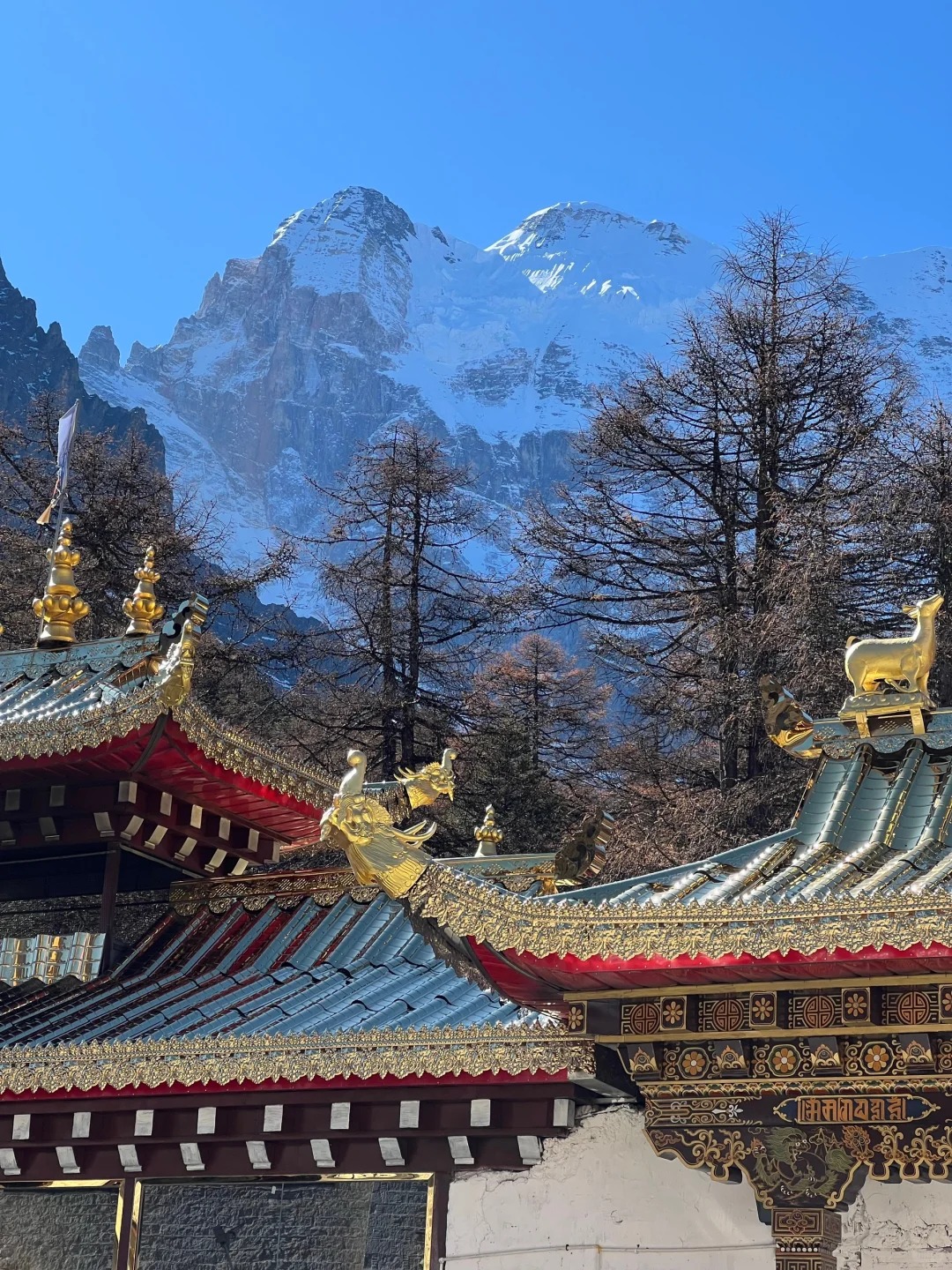 12.2📍四姑娘山真实现状，别被xhs骗了😂