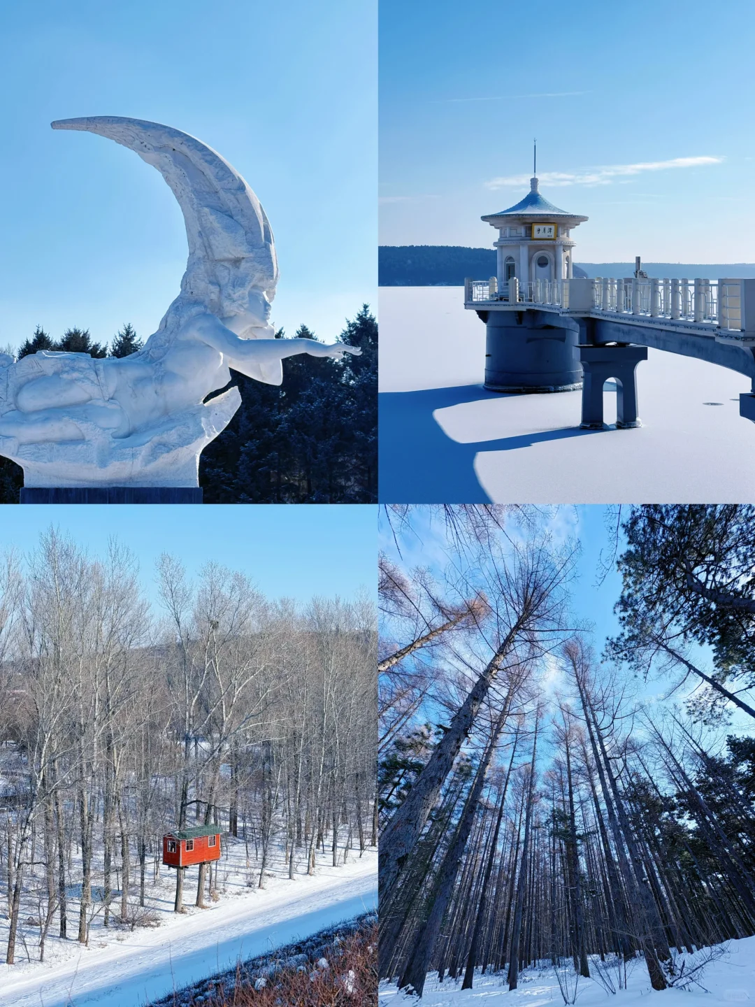 【长春净月潭】冬天里的蓝色北国公园❄️