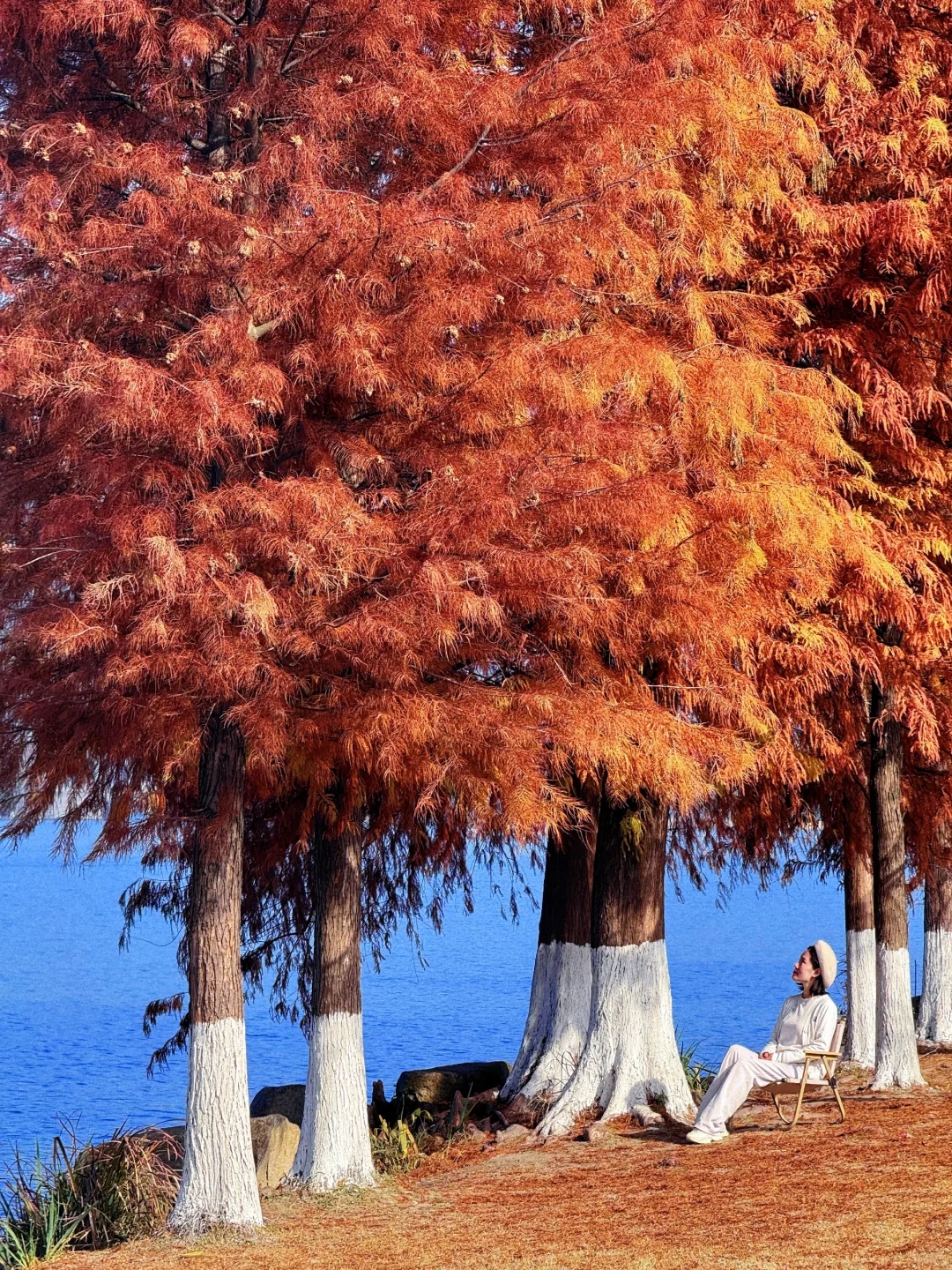 本以为西湖够美了,直到我去了杭州湘湖‼️