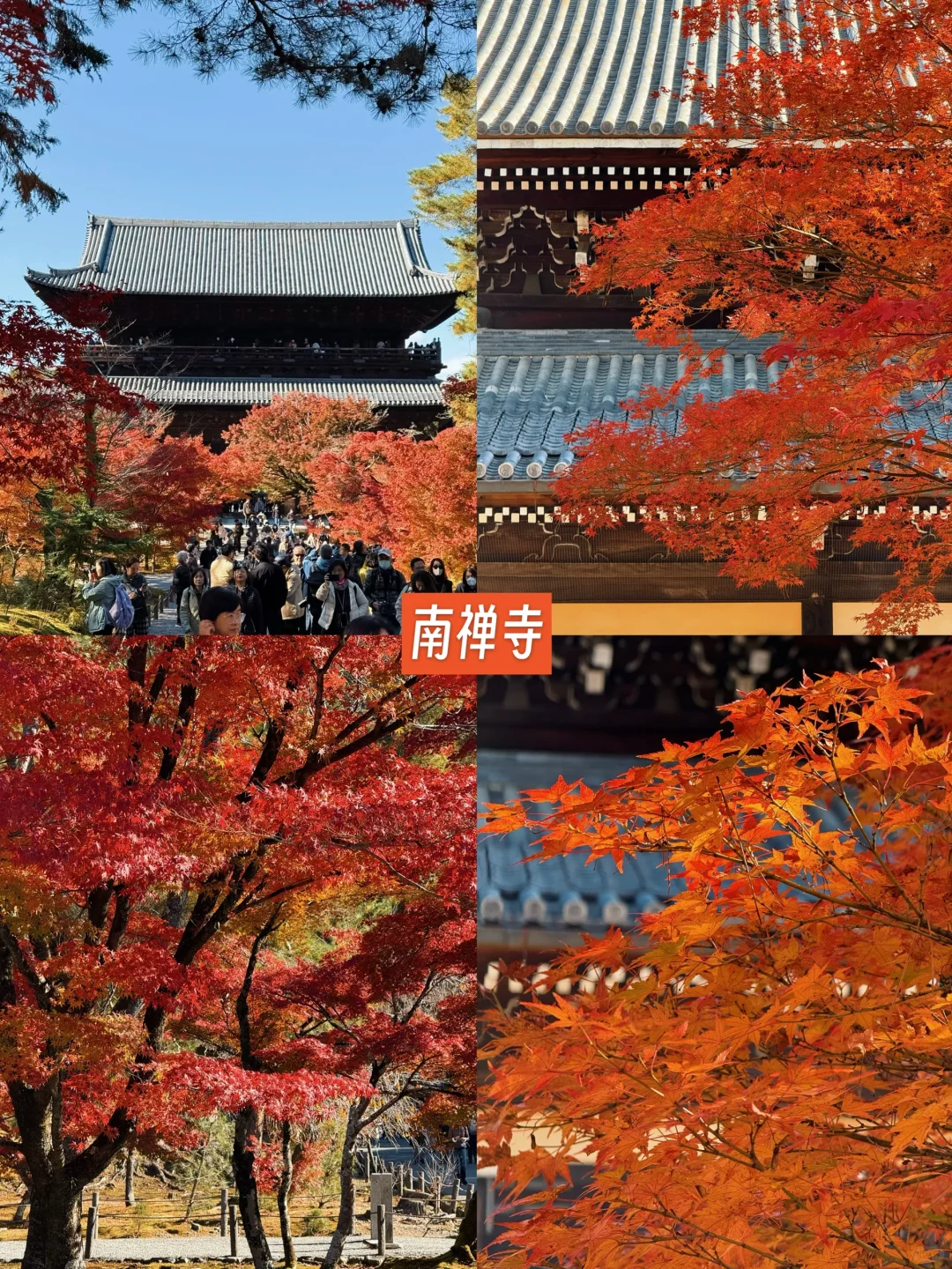 京都🍁10个热门红叶景点！实拍测评来了！