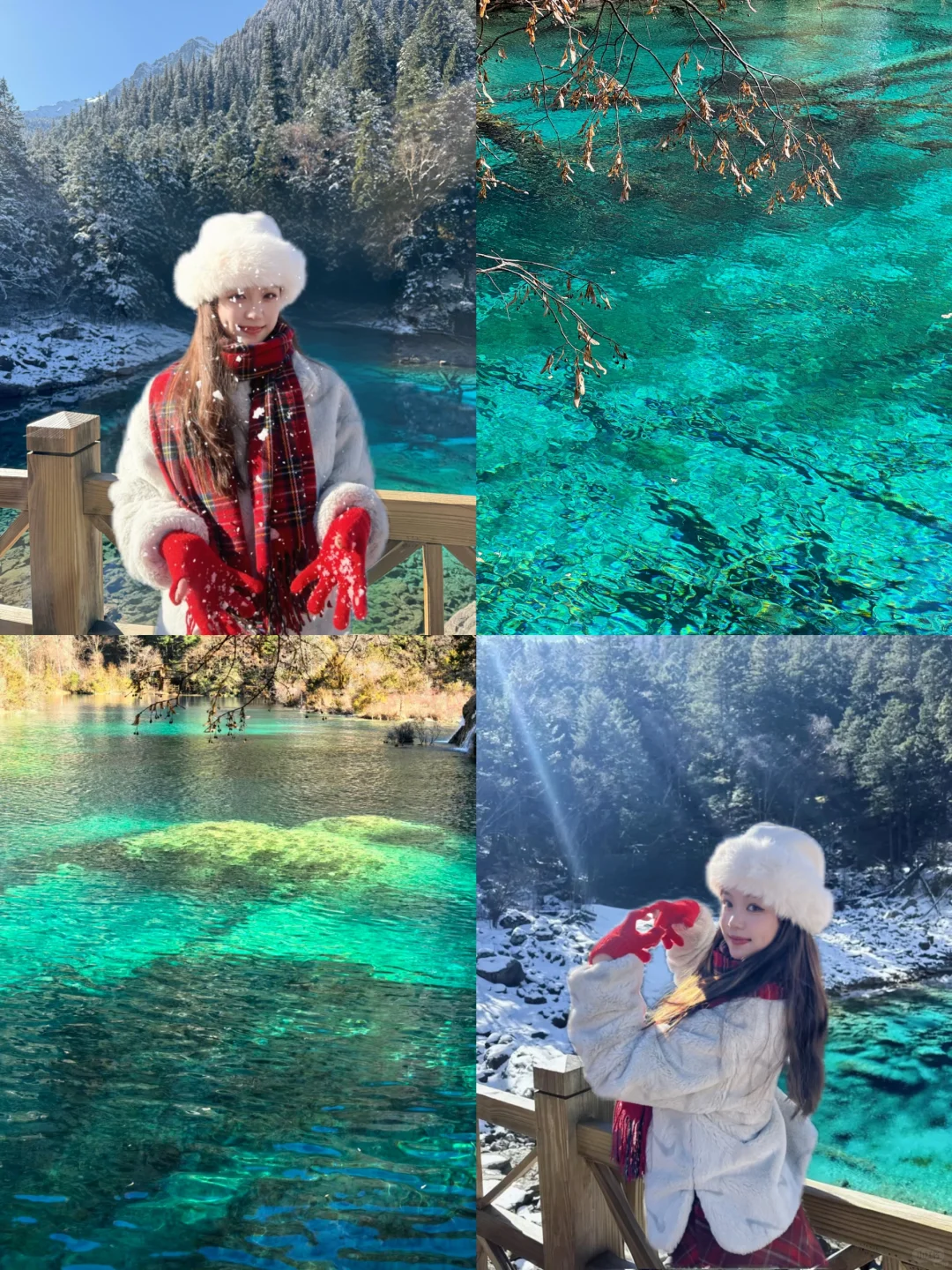 12.5📍九寨沟下雪❄已踩坑 但劝不了一点...
