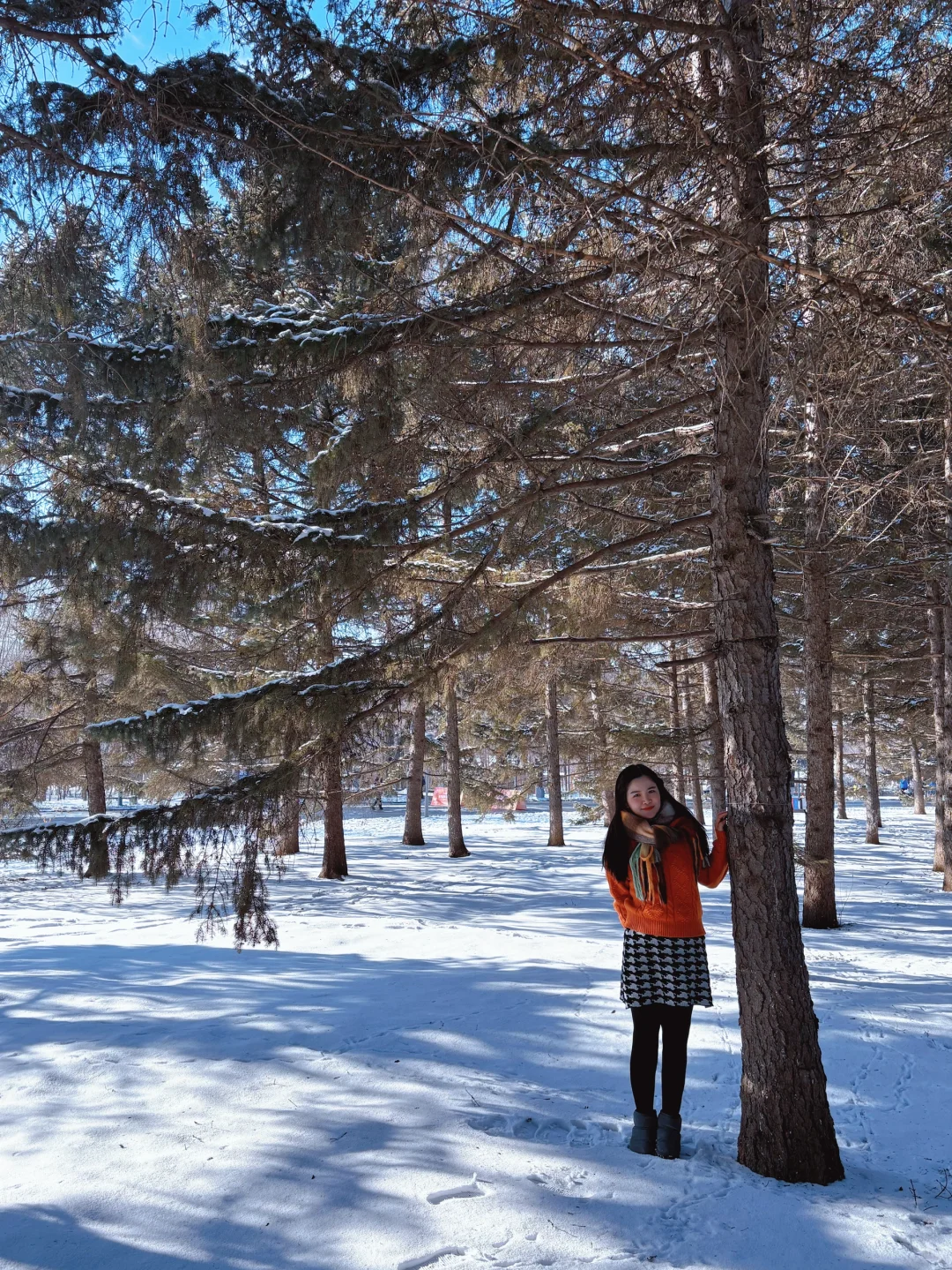 【长春净月潭】冬天里的蓝色北国公园❄️