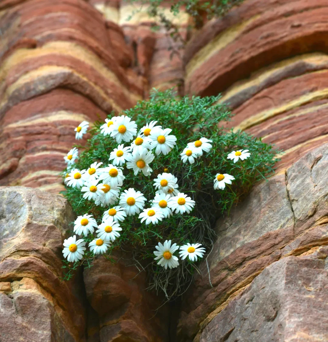 东太行景区攻略