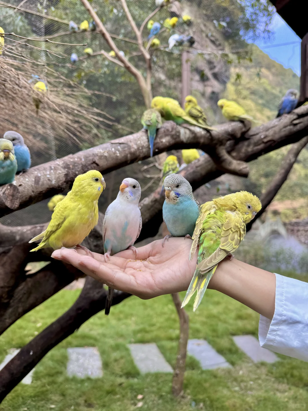 不是九寨沟!这是杭州!!只有0.1%人去过🍃