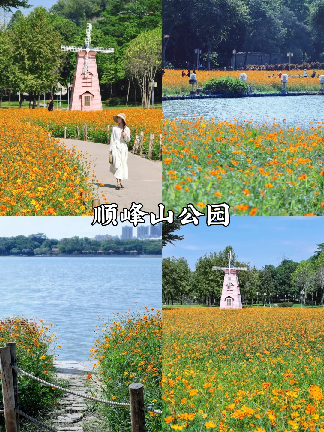 佛山周末好去处|九大必打卡景点🔥附攻略