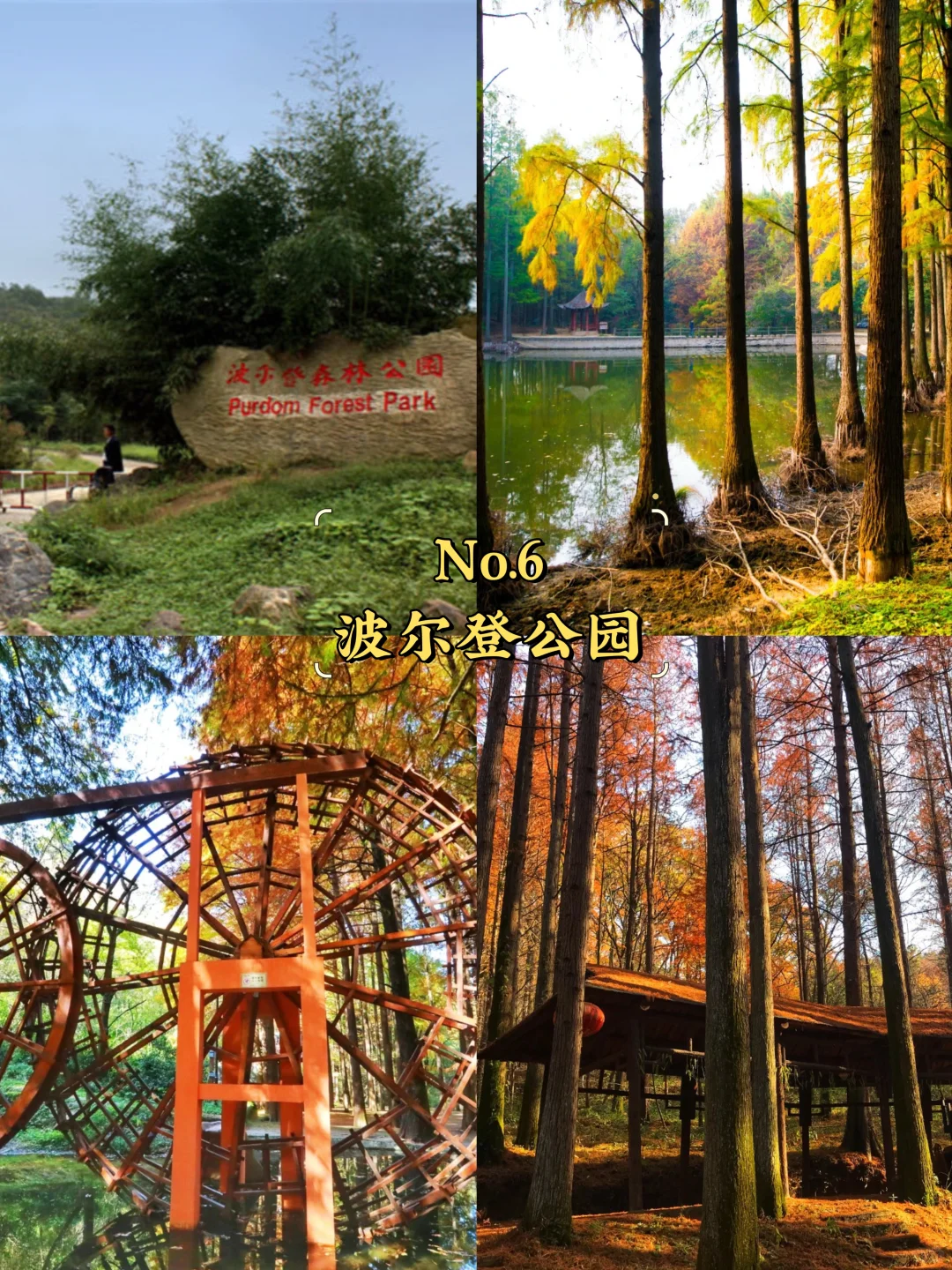 信阳必去9大景点‼️信阳旅游必看❗️