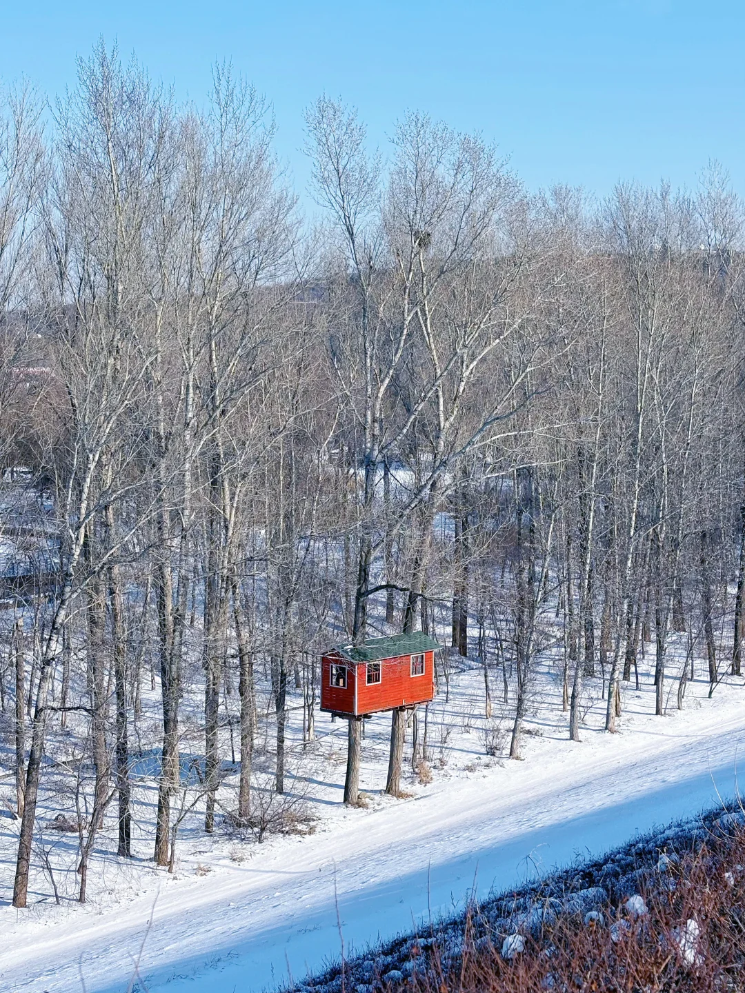 【长春净月潭】冬天里的蓝色北国公园❄️