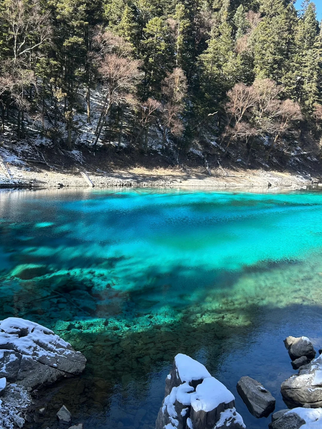 12.5📍九寨沟下雪❄已踩坑 但劝不了一点...