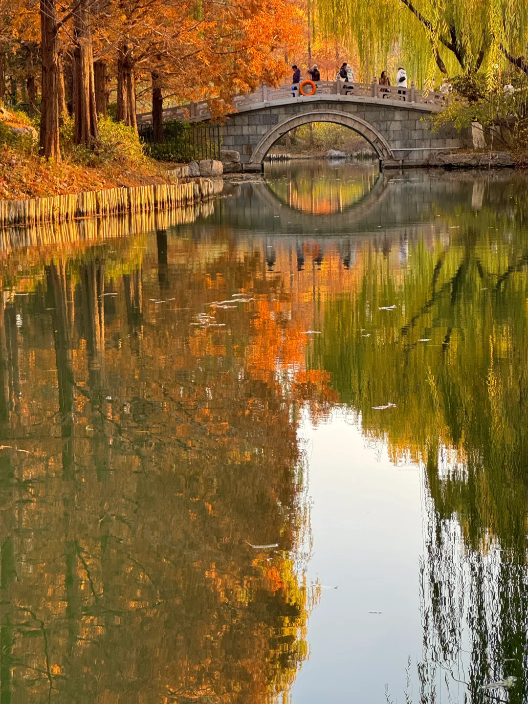 12.5实况！济南大明湖四象限好美！附攻略