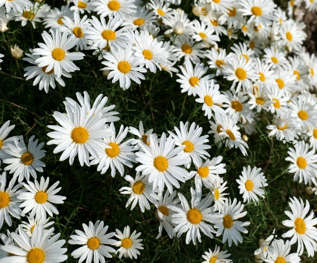 东太行景区攻略