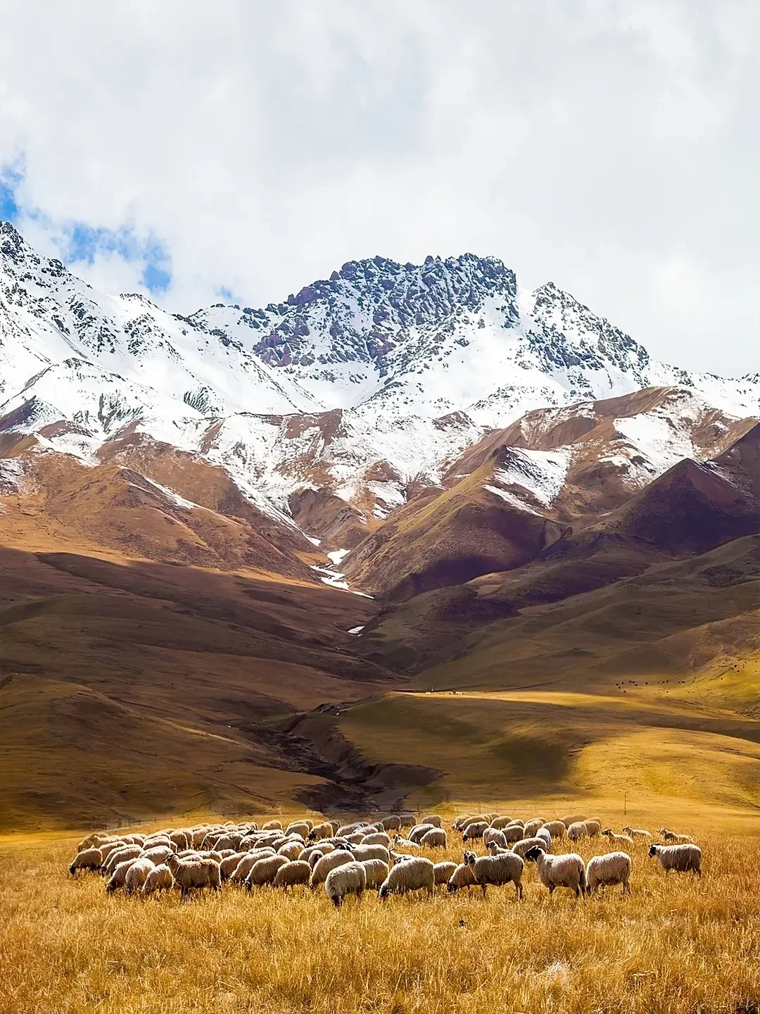 中国人一辈子一定要走一次的丝绸之路