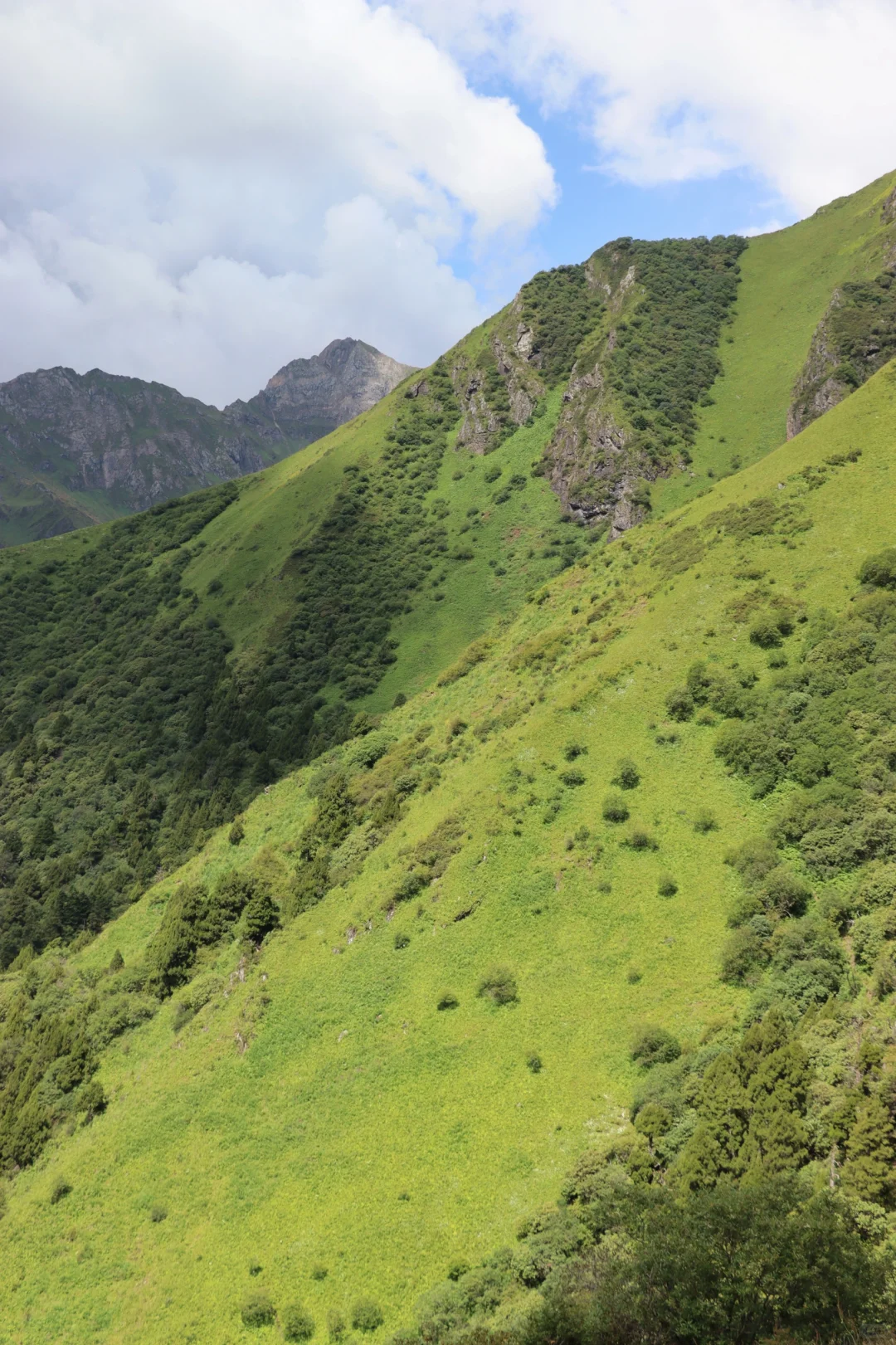 阿坝|📷我在阿尔沟徒步拍人生大片🤳