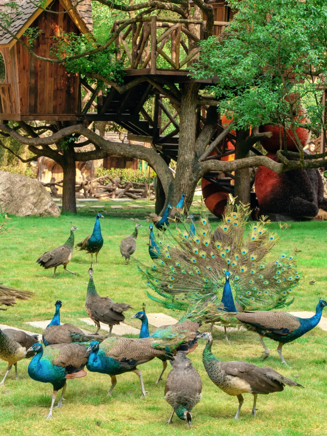 不是九寨沟!这是杭州!!只有0.1%人去过🍃