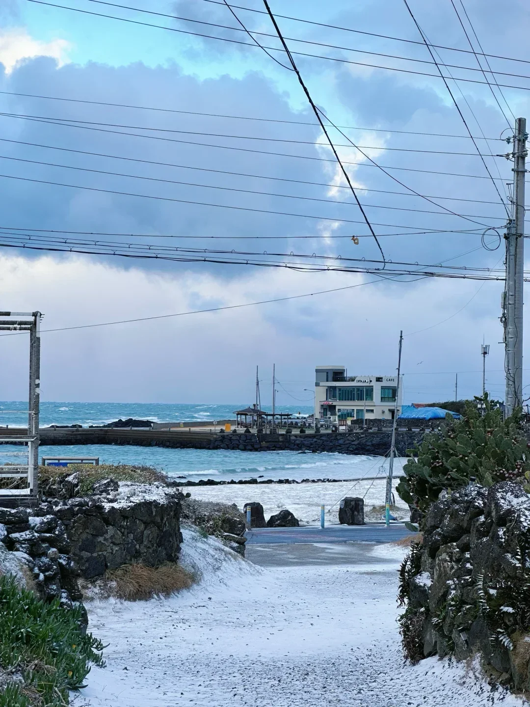 冬天一定要来济州岛看次海 (冬季打卡地）