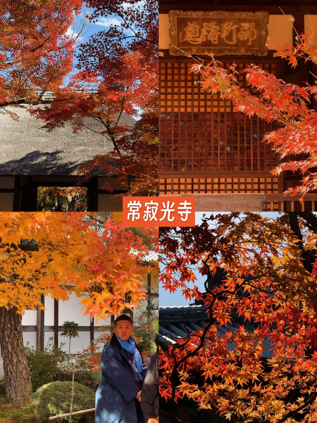 京都🍁10个热门红叶景点！实拍测评来了！