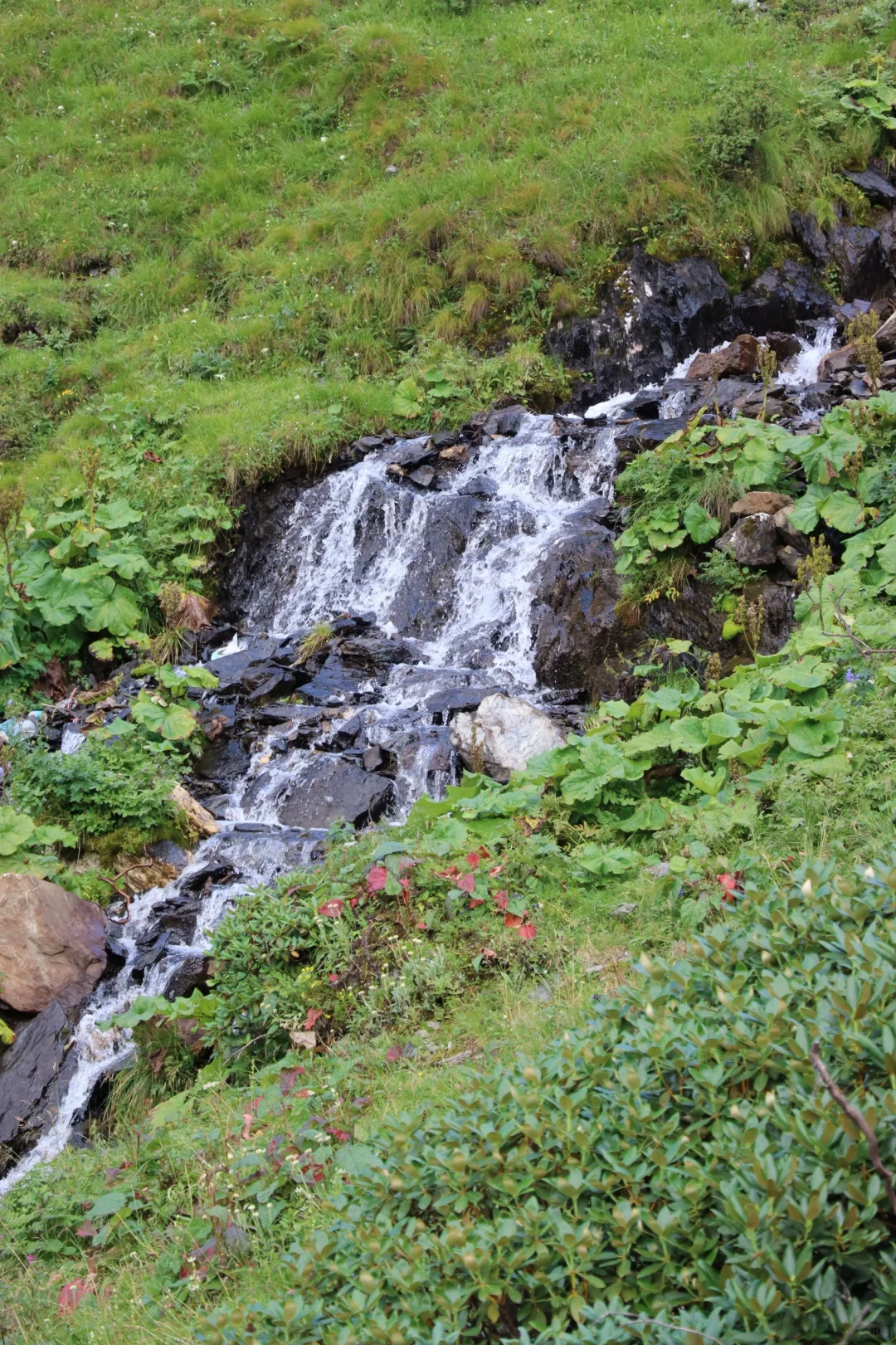 阿坝|📷我在阿尔沟徒步拍人生大片🤳