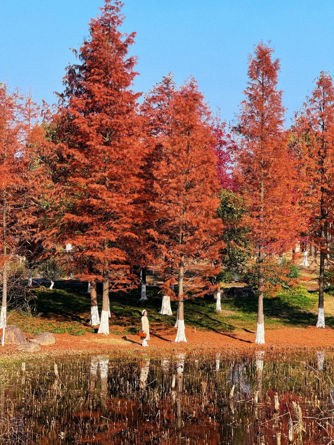 本以为西湖够美了,直到我去了杭州湘湖‼️