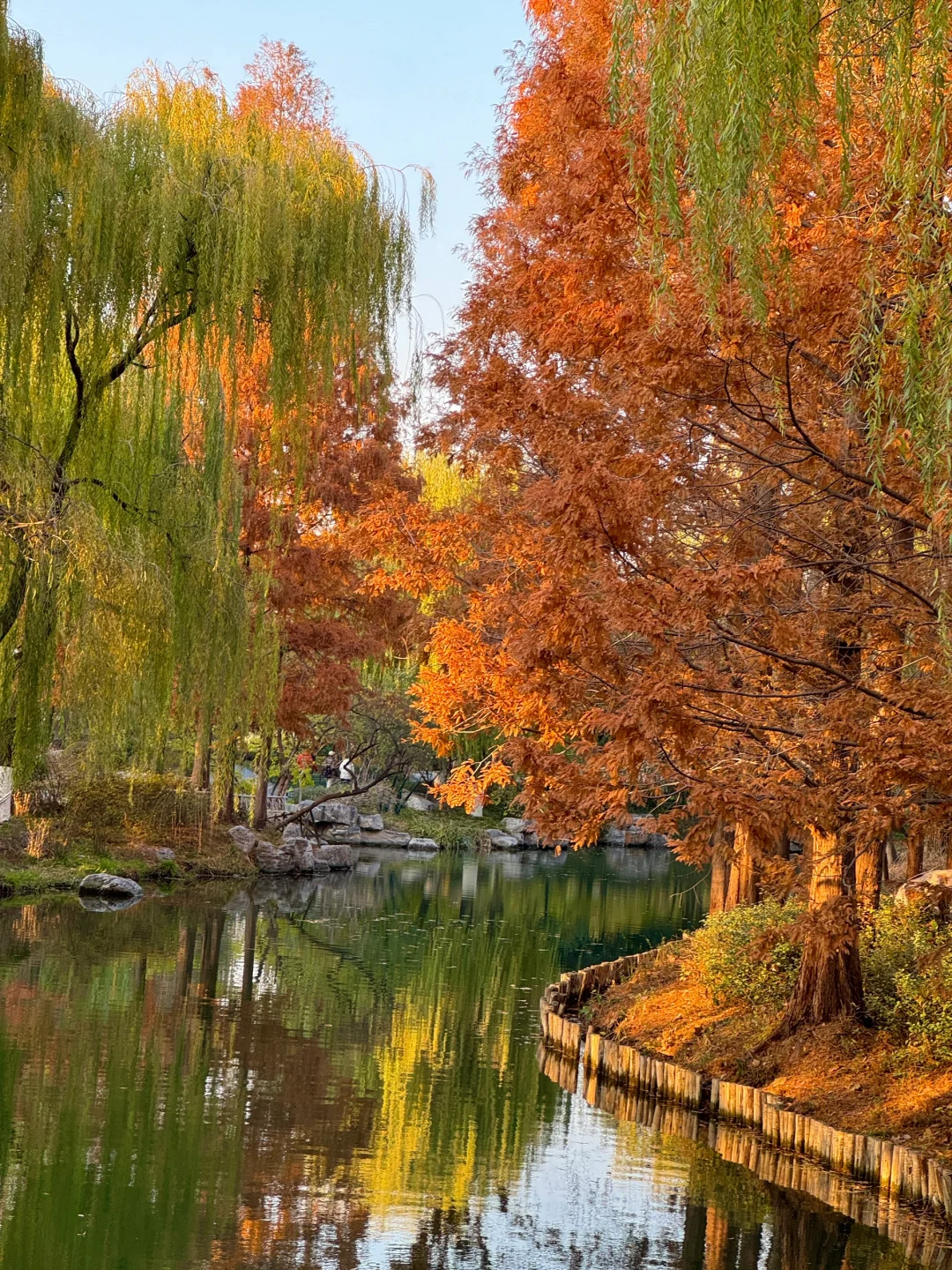 12.5实况！济南大明湖四象限好美！附攻略