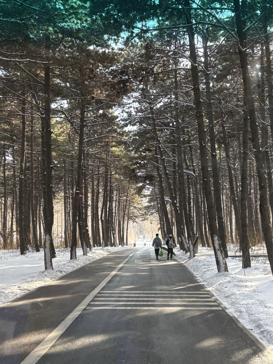 【长春净月潭】冬天里的蓝色北国公园❄️