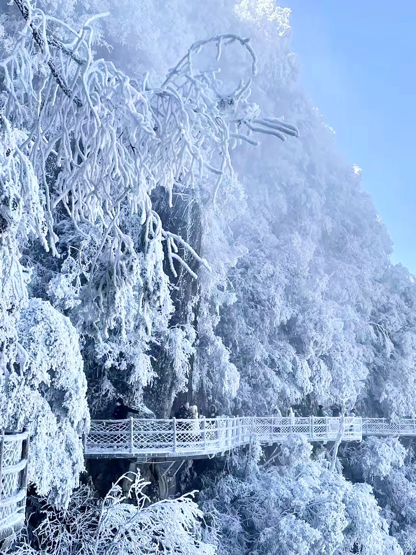 广深高铁2h直达!省时省钱的电梯雪山:郴州