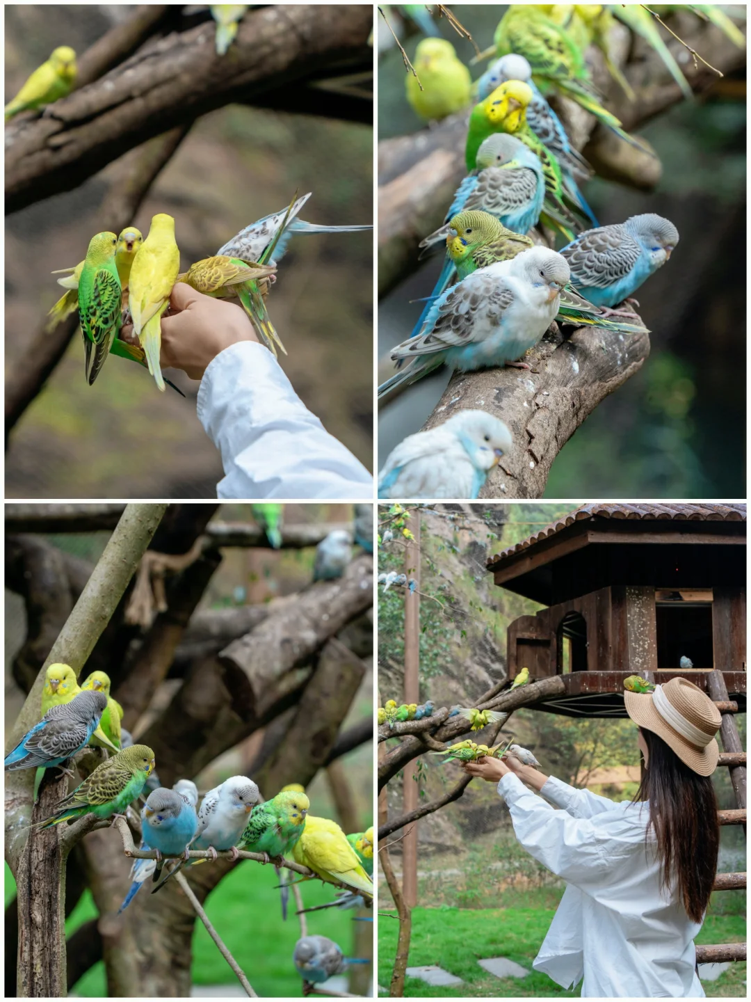 不是九寨沟!这是杭州!!只有0.1%人去过🍃