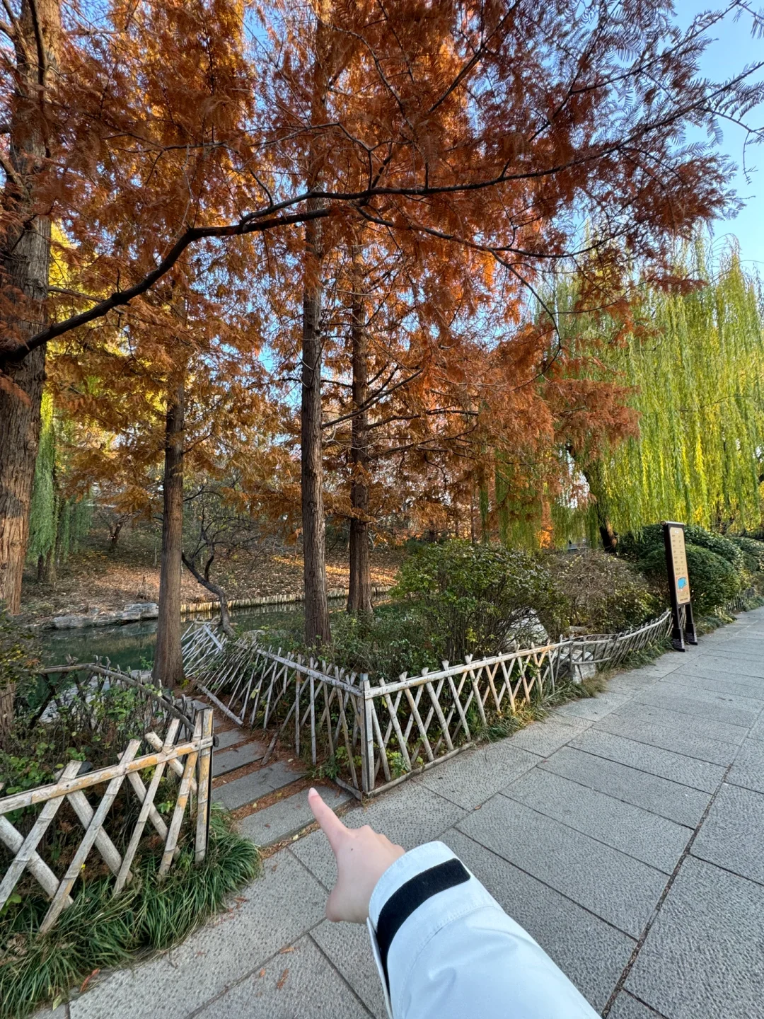 12.5实况！济南大明湖四象限好美！附攻略